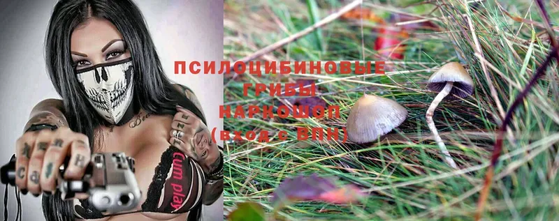 Галлюциногенные грибы Magic Shrooms  как найти наркотики  Артёмовск 